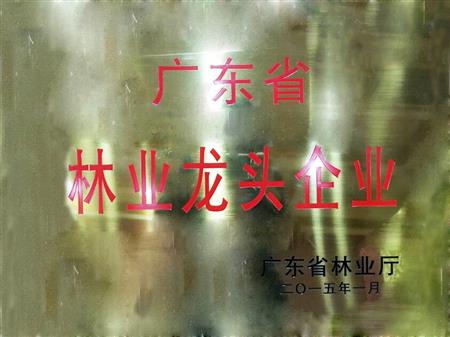    	         	2015年1月，紅古軒當(dāng)選為“廣東省林業(yè)龍頭企業(yè)”   
